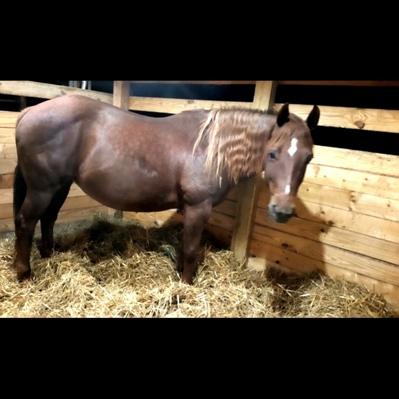 💥Meet your Posher 😁 - Picture 5 of 8